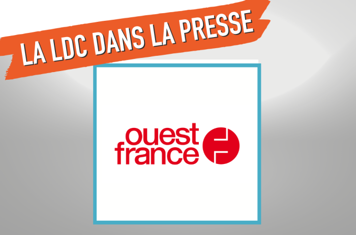 Automobile. Leasing social &nbsp;: coup de pouce ou illusion verte ?